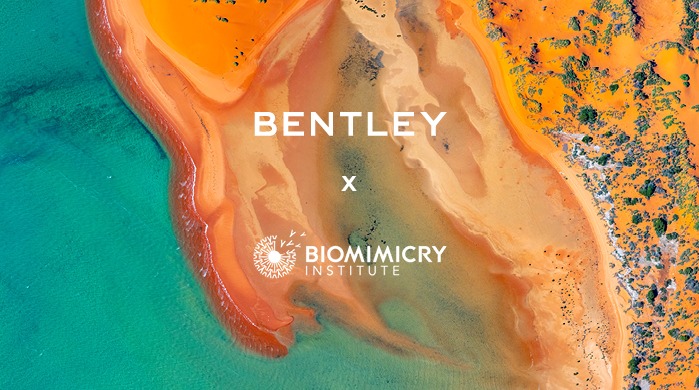 بنتلي موتورز تعزِّز التزامها بالبيئة من خلال إطلاق مؤسَّسة Bentley Environmental Foundation